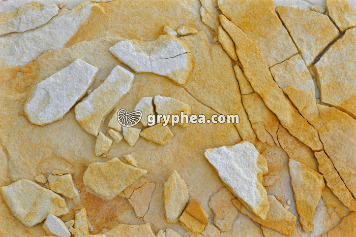 Grès en cours d'altération - gryphea.com